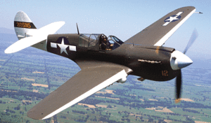 Warbirds: Flying the classic fighters